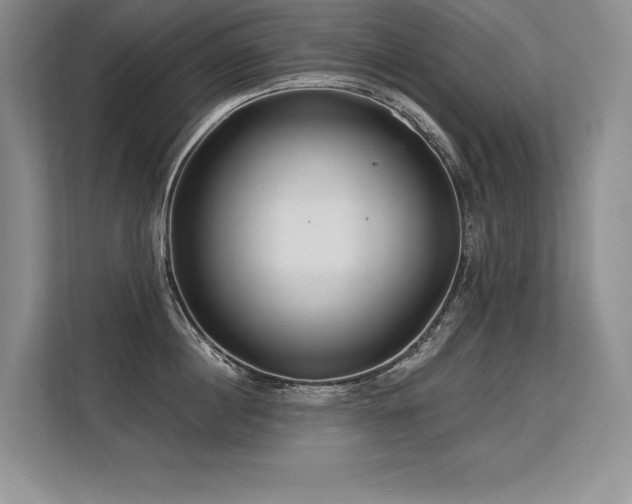 X0000113580860200909181306