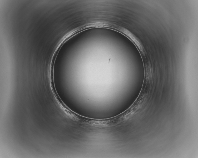 X0000113580861200909181306