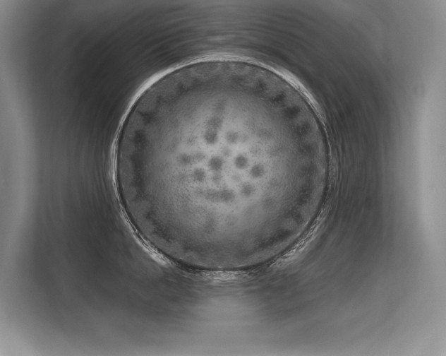 X0000113580862200909181306