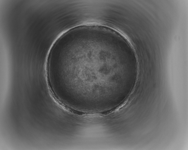 X0000113580864200909181306