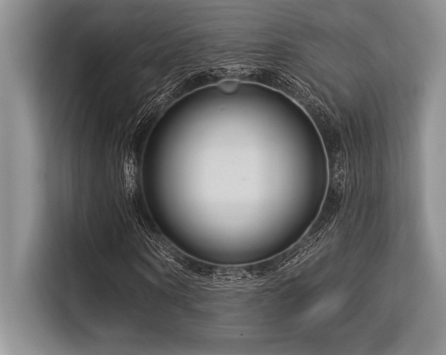 X0000113580866200909181305
