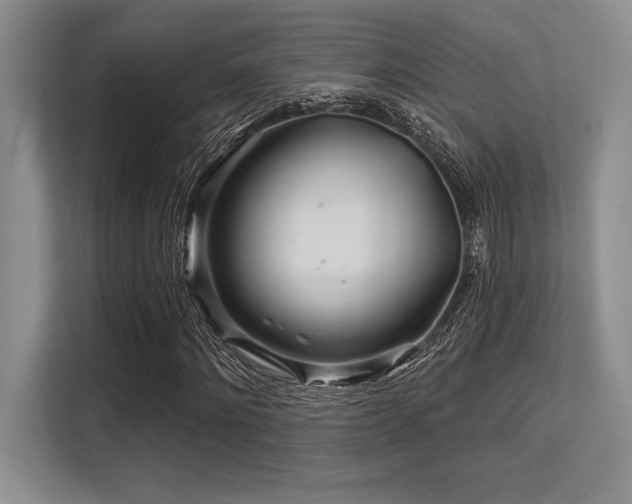 X0000113580868200909181305