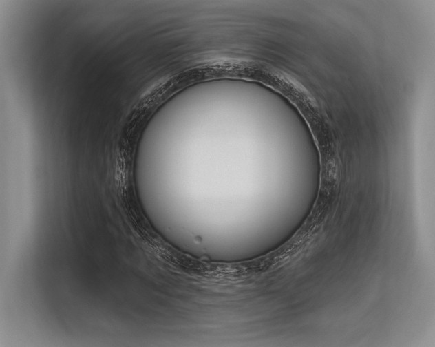 X0000113580869200909181305