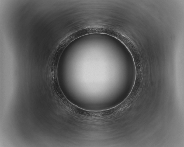 X0000113580870200909181305