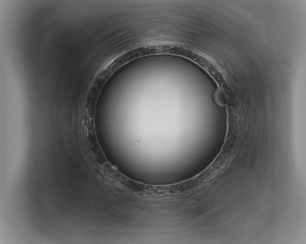 X0000113580871200909181305