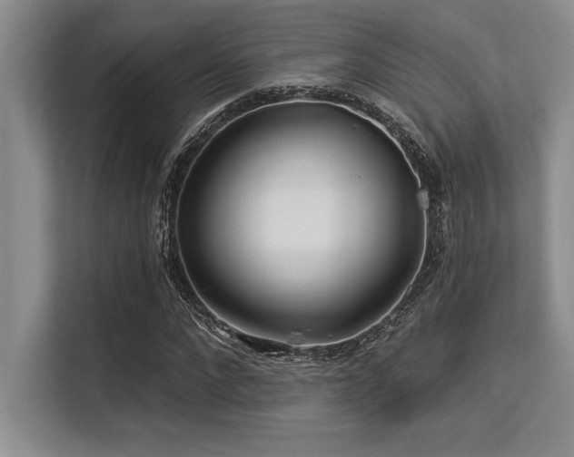 X0000113580872200909181305
