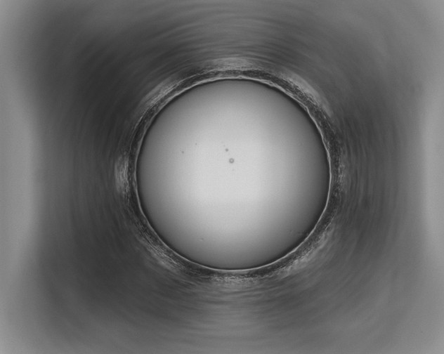 X0000113580873200909181305