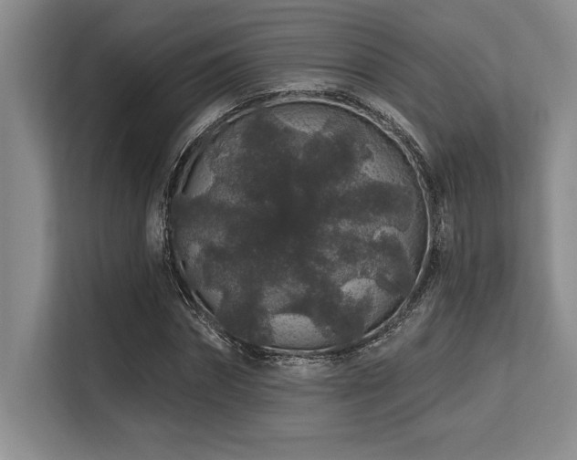 X0000113580874200909181305