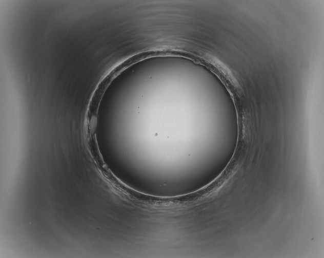 X0000113580876200909181305