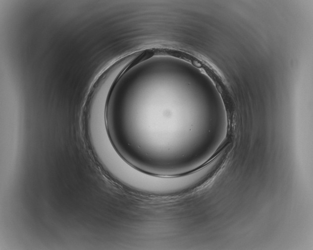 X0000113580877200909181305