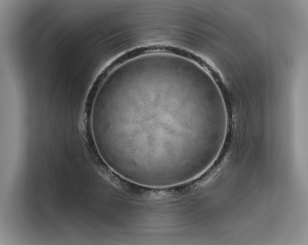 X0000113580879200909181305