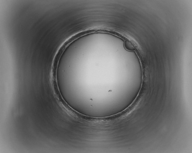 X0000113580880200909181305