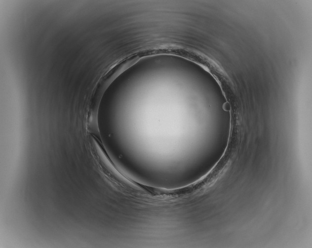 X0000113580881200909181305