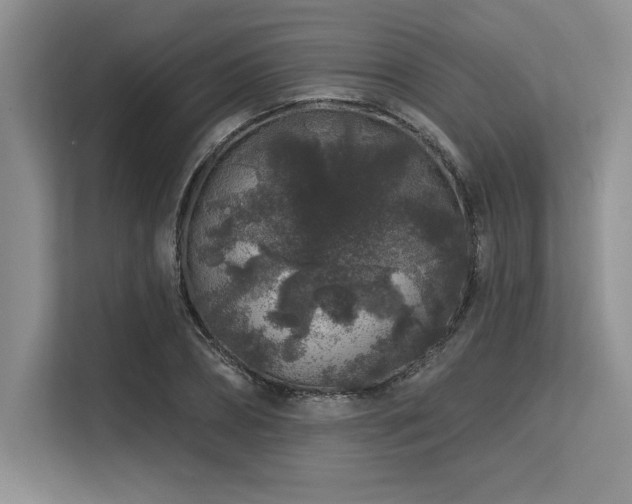 X0000113580882200909181305