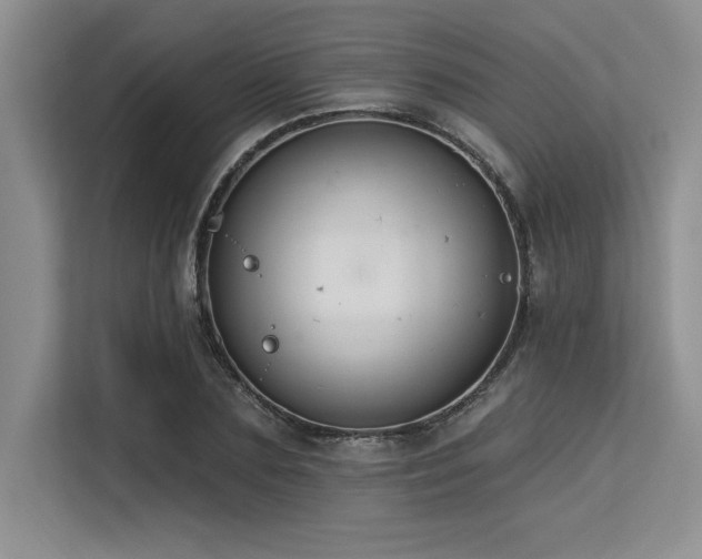 X0000113580883200909181305