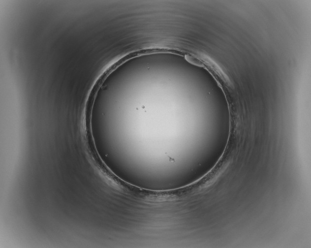 X0000113580884200909181305