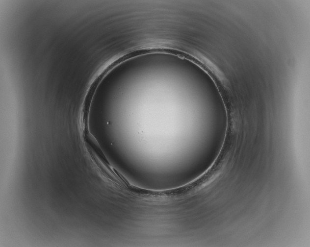 X0000113580885200909181305