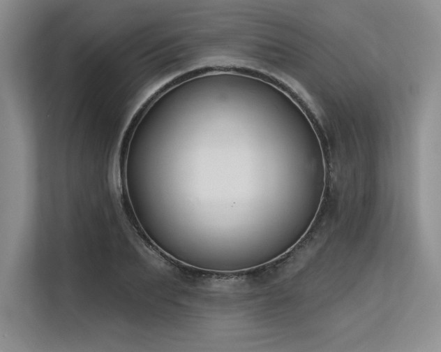 X0000113580887200909181305
