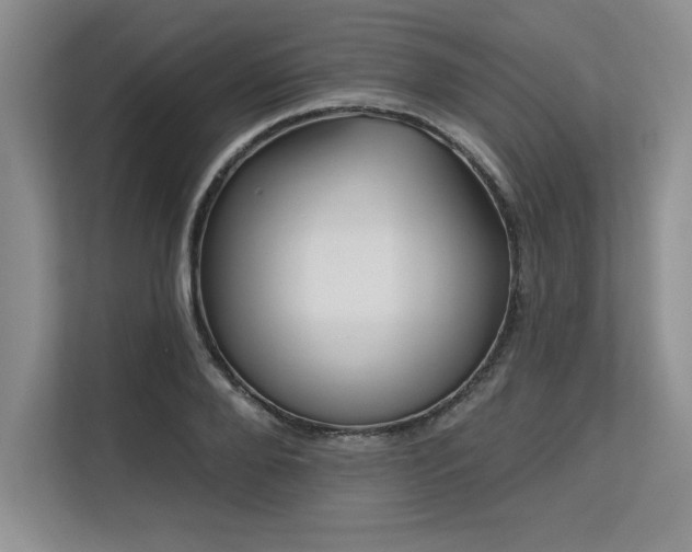 X0000113580888200909181305