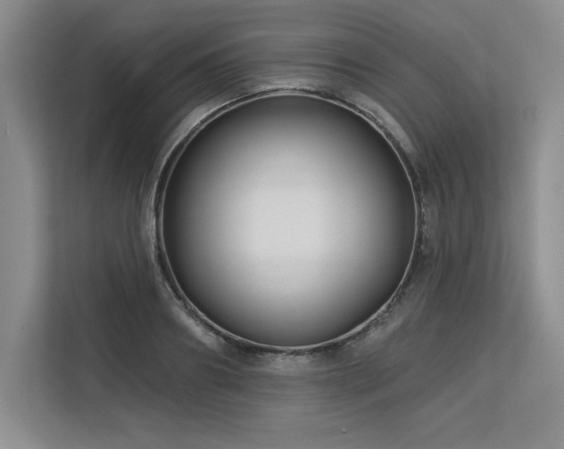X0000113580890200909181305