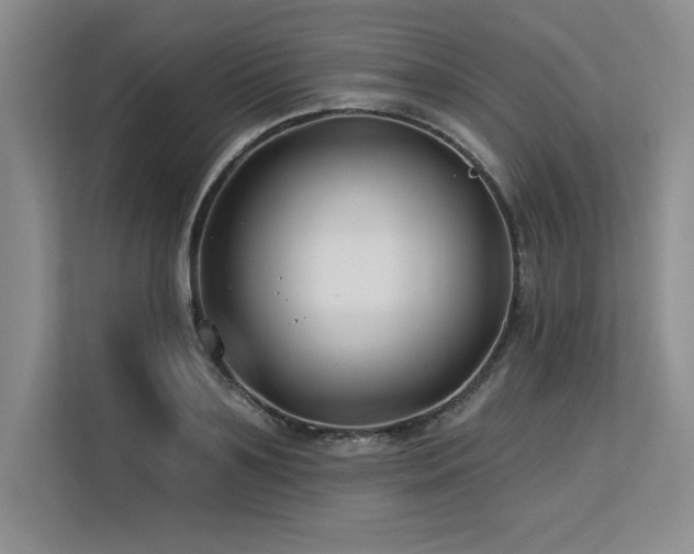 X0000113580891200909181305