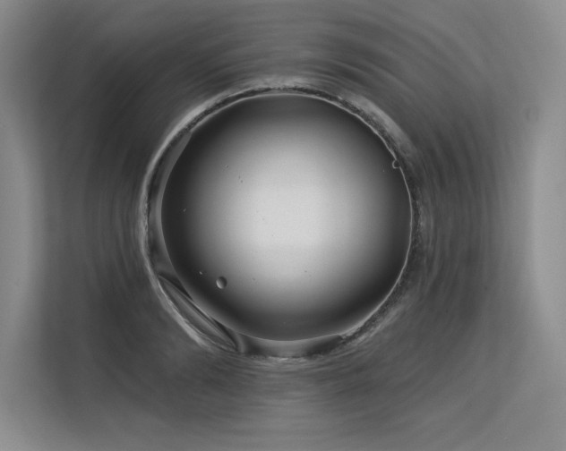 X0000113580894200909181305