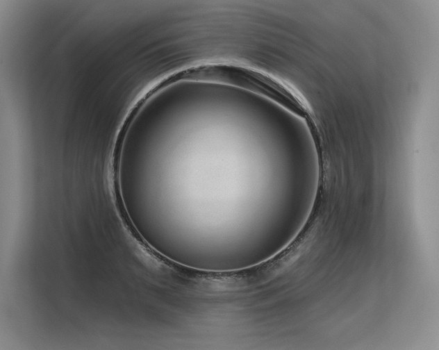 X0000113580895200909181305