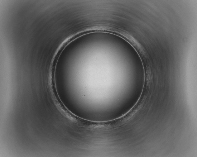 X0000113580896200909181305