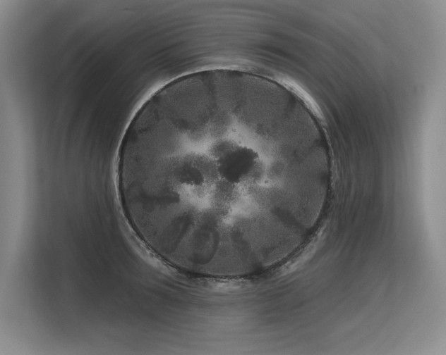X0000113580899200909181305