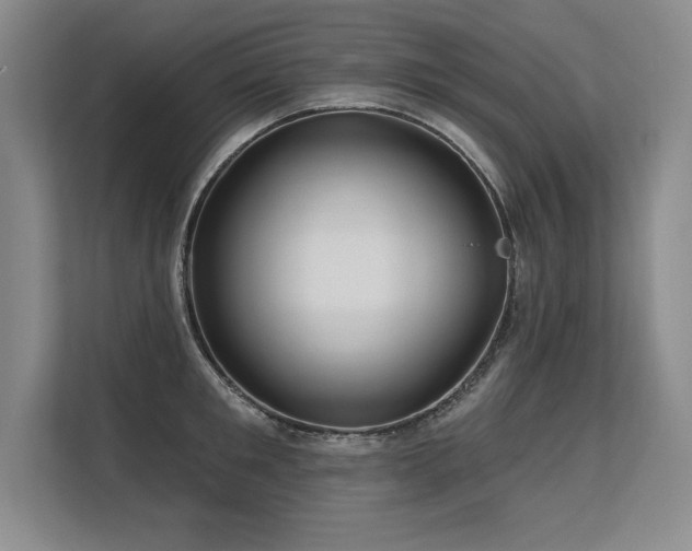 X0000113580901200909181305