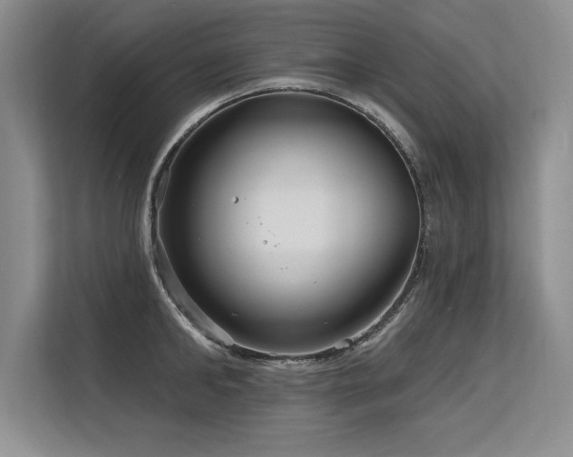 X0000113580902200909181305