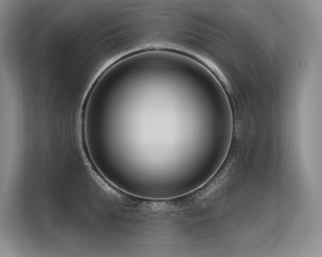 X0000113580903200909181305