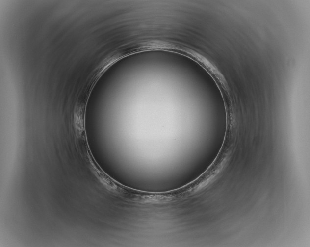 X0000113580905200909181305