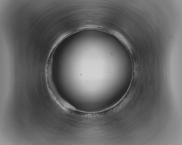 X0000113580906200909181305