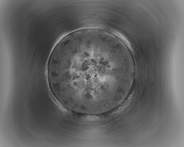 X0000113580907200909181305