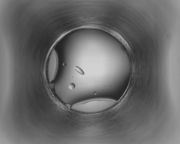 X0000113580908200909181305