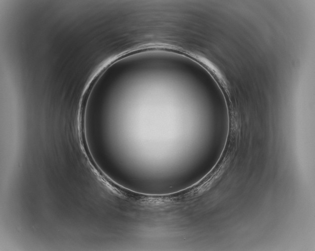 X0000113580910200909181305
