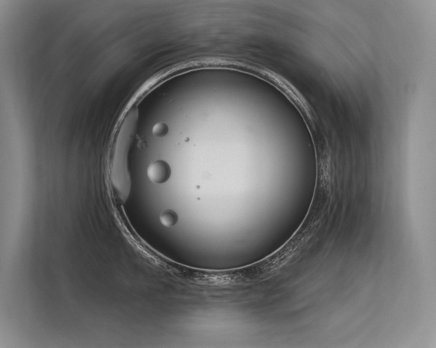 X0000113580911200909181305