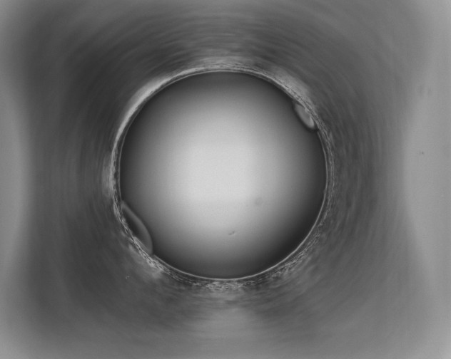X0000113580912200909181304