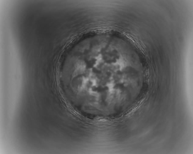 X0000113580913200909181304