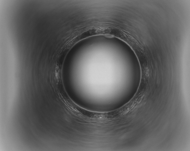 X0000113580914200909181304