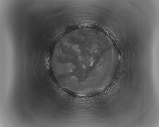 X0000113580915200909181304