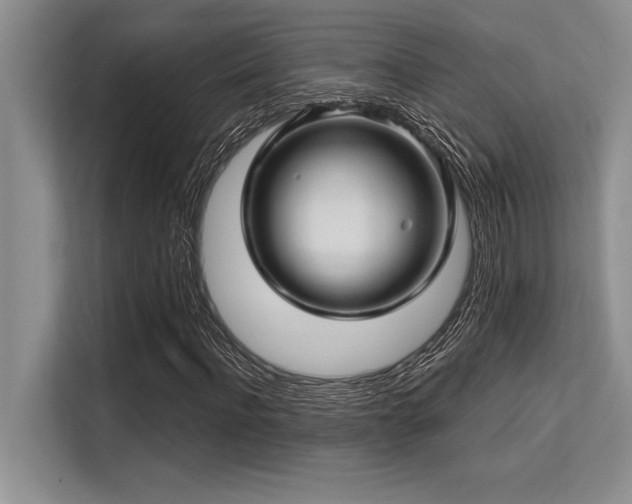 X0000113580916200909181304