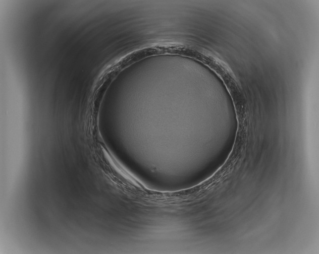 X0000113580920200909181304