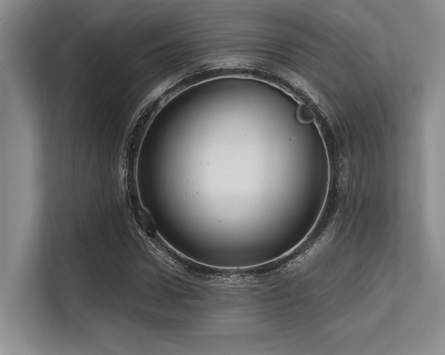 X0000113580922200909181304