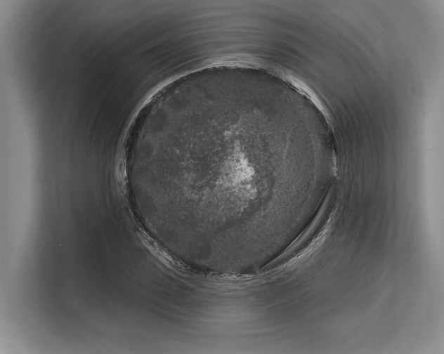 X0000113580923200909181304
