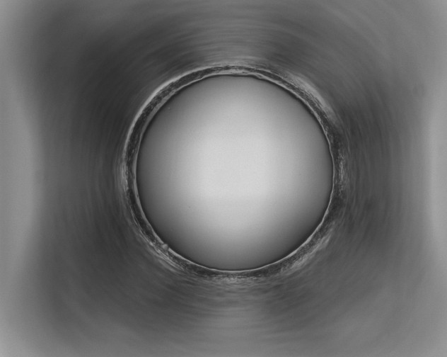 X0000113580924200909181304