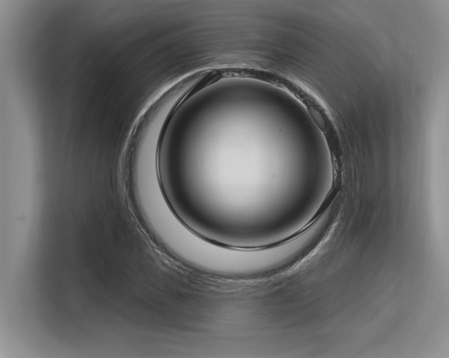 X0000113580925200909181304