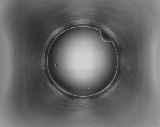 X0000113580930200909181304