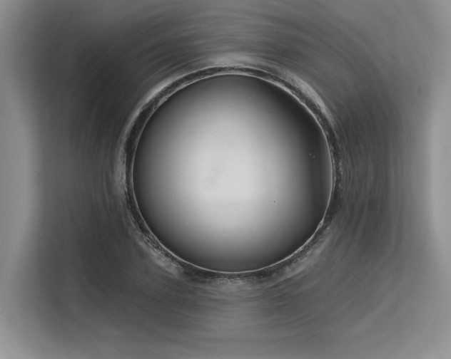 X0000113580931200909181304